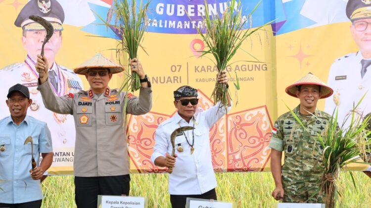 Kapolda Kaltara Hadiri Panen Raya dan Pengumuman Swasembada Pangan Oleh Presiden RI