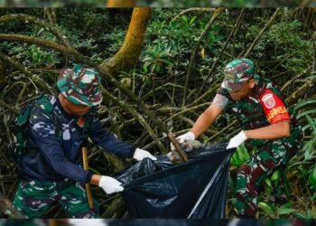 Wujudkan Wisata Bersih, Kodim 0907/Tarakan Gelar Aksi Bersih Mangrove Karang Rejo