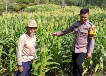 Dukung Program Ketahanan Pangan, Bhabinkamtibmas Polsek Tarakan Timur Laksanakan Patroli Dialogis