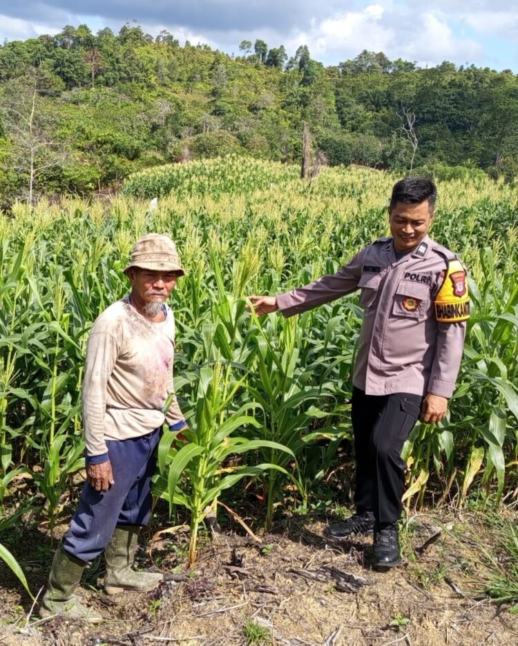 Dukung Program Ketahanan Pangan, Bhabinkamtibmas Polsek Tarakan Timur Laksanakan Patroli Dialogis