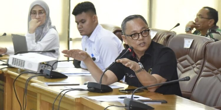 Pasca Kecelakaan Pesawat Pengangkut BBM, Deddy Sitorus Pastikan Distribusi BBM ke Krayan Aman 