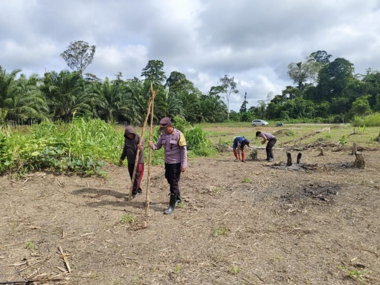 Kapolsek Sembakung Pimpin Pengolahan Lahan Pertanian, Dukung Ketahanan Pangan Nasional