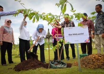 MenPANRB dan Insan Otorita IKN Tanam Ratusan Pohon di KIPP Nusantara