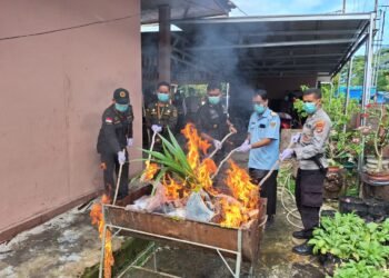 Baratin Kalimantan Utara Musnahkan Media Pembawa, Tingkatkan Keamanan Perbatasan