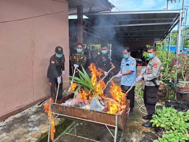 Baratin Kalimantan Utara Musnahkan Media Pembawa, Tingkatkan Keamanan Perbatasan