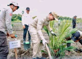 Penanaman Perdana Sawit Plasma, Langkah Strategis Perkuat Ekonomi Desa