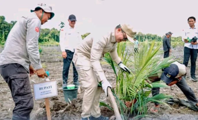 Penanaman Perdana Sawit Plasma, Langkah Strategis Perkuat Ekonomi Desa