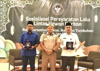 Peternak Lokal Terancam, DPRD Tarakan Desak Pintu Distribusi Sapi Segera Difilter