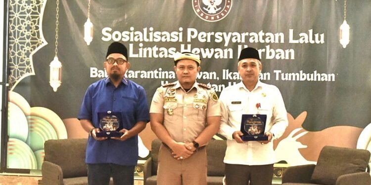 Peternak Lokal Terancam, DPRD Tarakan Desak Pintu Distribusi Sapi Segera Difilter