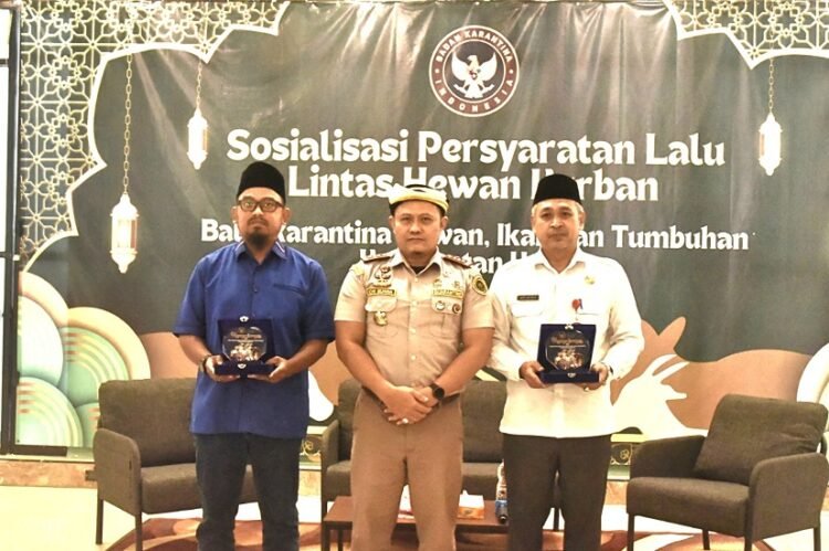 Peternak Lokal Terancam, DPRD Tarakan Desak Pintu Distribusi Sapi Segera Difilter