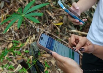 Menanam Harapan di IKN Saat Libur Paskah