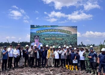 Ketua DPRD Tana Tidung Dukung Penanaman Perdana Plasma Sawit di Sambungan
