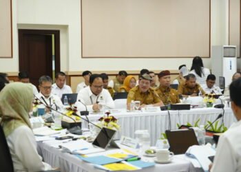 123 Desa di Perbatasan Kaltara Belum Berlistrik, Wagub Ingkong Ala Dorong Percepatan Lisdes