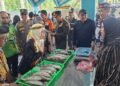 DKP Kaltara Resmikan Pasar Ikan Higienis di Pelabuhan Tengkayu II, Dorong Ekonomi dan Gizi Masyarakat