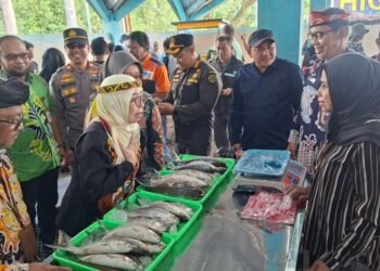 DKP Kaltara Resmikan Pasar Ikan Higienis di Pelabuhan Tengkayu II, Dorong Ekonomi dan Gizi Masyarakat