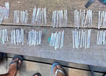 Sinergi Polda Kaltara dan Polres Tarakan Ringkus Pengedar Sabu di Selumit Pantai, 106 Poket Siap Edar Disita