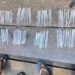 Sinergi Polda Kaltara dan Polres Tarakan Ringkus Pengedar Sabu di Selumit Pantai, 106 Poket Siap Edar Disita