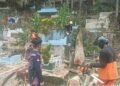 Jelang Idul Adha, BPBD Tarakan Gerak Cepat Evakuasi Pohon Tumbang di Pemakaman Muslim Juata Laut
