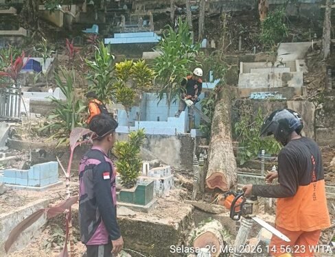 Jelang Idul Adha, BPBD Tarakan Gerak Cepat Evakuasi Pohon Tumbang di Pemakaman Muslim Juata Laut
