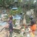Jelang Idul Adha, BPBD Tarakan Gerak Cepat Evakuasi Pohon Tumbang di Pemakaman Muslim Juata Laut