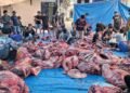 Masjid LDII Nur Hasan Karang Anyar Sembelih 58 Hewan Kurban, Bagikan 1.500 Paket Daging Tanpa Kupon 