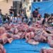 Masjid LDII Nur Hasan Karang Anyar Sembelih 58 Hewan Kurban, Bagikan 1.500 Paket Daging Tanpa Kupon 