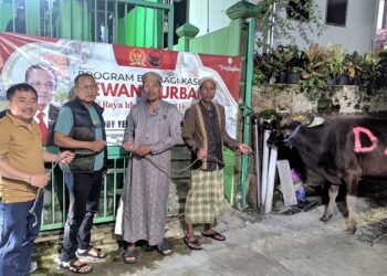 Deddy Sitorus Salurkan 17 Ekor Sapi di Kaltara