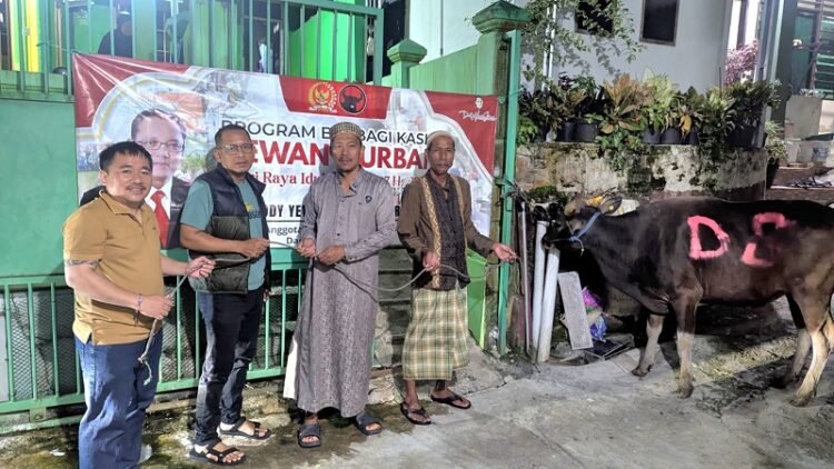Deddy Sitorus Salurkan 14 Ekor Sapi di Kaltara