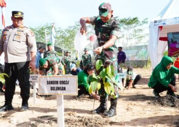 TNI Tanam 5.000 Pohon untuk Hijaukan Lahan Kritis di Bulungan
