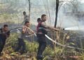 Gerak Cepat, Dit Samapta dan Satbrimob Polda Kaltara Jinakkan Karhutla di Jl. Poros Tanjung Selor KM 4