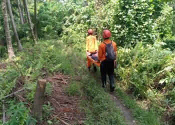 Tim SAR Gabungan Lakukan Evakuasi Pendaki Terdampak Erupsi Gunung Dukono, Tiga Orang Masih Dalam Pencarian