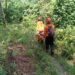 Tim SAR Gabungan Lakukan Evakuasi Pendaki Terdampak Erupsi Gunung Dukono, Tiga Orang Masih Dalam Pencarian