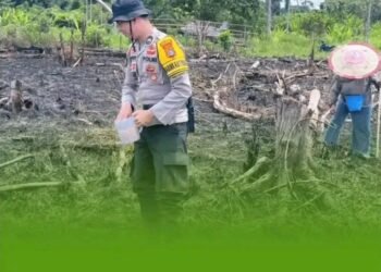 Dukung Ketahanan Pangan Nasional, Bhabinkamtibmas Polsek Sesayap Tanam Jagung Bersama Warga Rian Rayo
