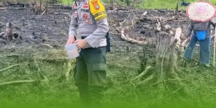 Dukung Ketahanan Pangan Nasional, Bhabinkamtibmas Polsek Sesayap Tanam Jagung Bersama Warga Rian Rayo