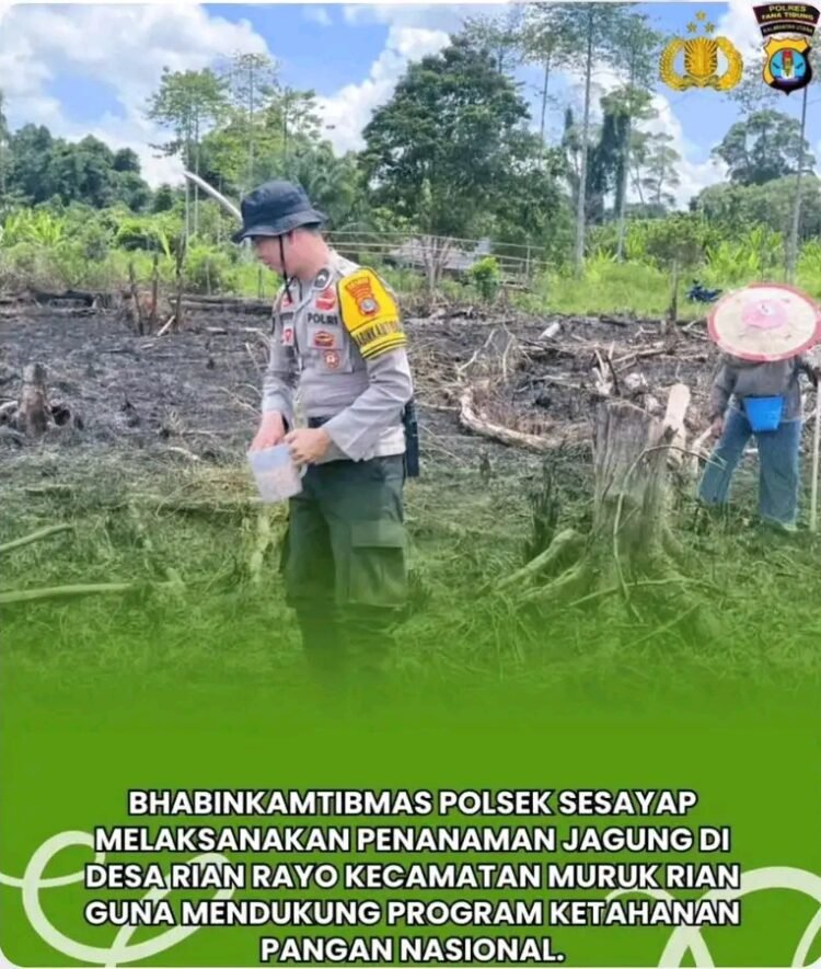 Dukung Ketahanan Pangan Nasional, Bhabinkamtibmas Polsek Sesayap Tanam Jagung Bersama Warga Rian Rayo