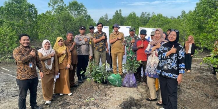 PNM Tanam 29.000 Pohon Demi Jaga Lingkungan di 58 Cabang Indonesia