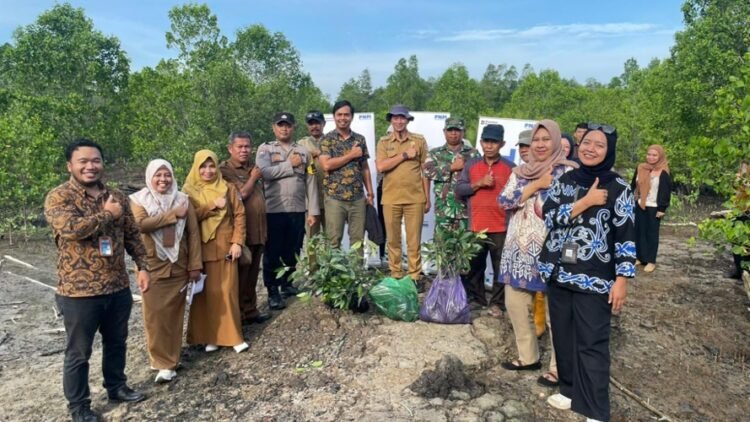 PNM Tanam 29.000 Pohon Demi Jaga Lingkungan di 58 Cabang Indonesia
