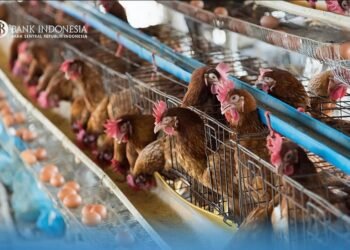 Inflasi Kaltara Mei 2026 Terjaga 0,27 Persen, Lebih Rendah dari Nasional