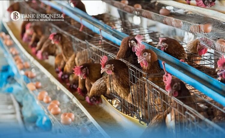 Inflasi Kaltara Mei 2026 Terjaga 0,27 Persen, Lebih Rendah dari Nasional