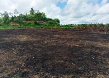 Bukan Cuma Jaga Kamtibmas, Polsek Tanjung Palas Utara Juga Jadi Motor Ketahanan Pangan