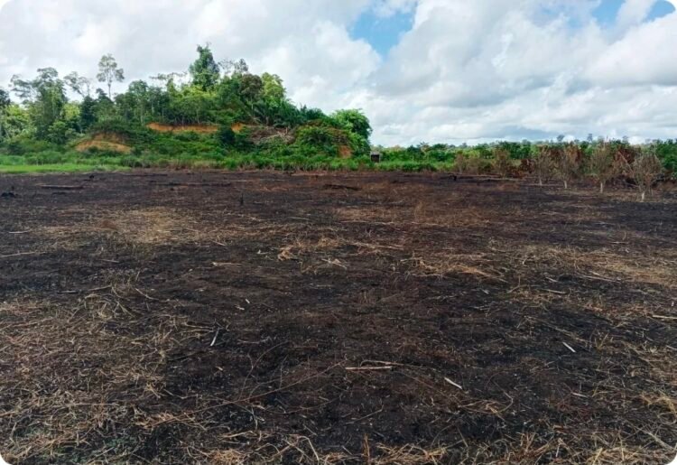 Bukan Cuma Jaga Kamtibmas, Polsek Tanjung Palas Utara Juga Jadi Motor Ketahanan Pangan