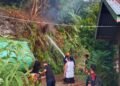 Api Nyaris Merembet ke Permukiman, Kebakaran Lahan di Sesayap Berhasil Dipadamkan