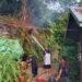 Api Nyaris Merembet ke Permukiman, Kebakaran Lahan di Sesayap Berhasil Dipadamkan