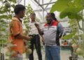Pertamina Patra Niaga Regional Kalimantan Dorong Ketahanan Pangan melalui Pelatihan Pengelolaan Lahan bagi Warga Binaan Lapas Balikpapan
