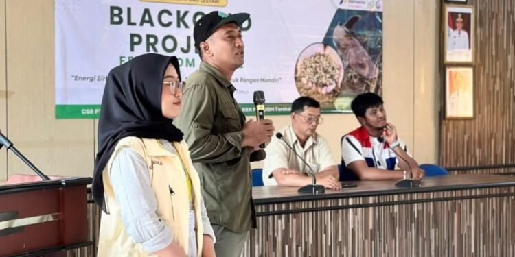 GEMA HIJAU Tarakan: Solusi Cerdas Pulihkan Mangrove dan Ekonomi Warga