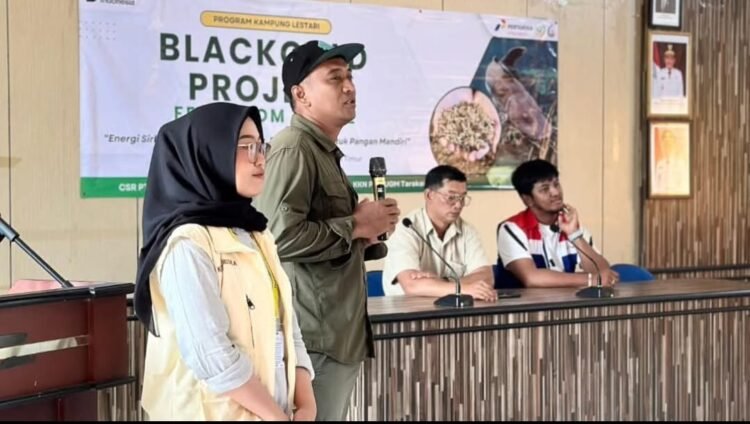 GEMA HIJAU Tarakan: Solusi Cerdas Pulihkan Mangrove dan Ekonomi Warga