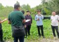 PN Tarakan Gelar Pemeriksaan Setempat, Sengketa Tanah Bernilai Miliaran Rupiah Masuk Tahap Pembuktian Krusial