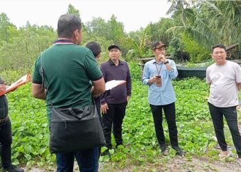 PN Tarakan Gelar Pemeriksaan Setempat, Sengketa Tanah Bernilai Miliaran Rupiah Masuk Tahap Pembuktian Krusial