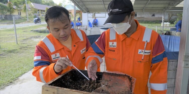 Kembangkan Program CSR yang Inovatif dan Berdampak, PT Pertamina Hulu Kalimantan Timur Terima Penghargaan dari Pemkab Penajam Paser Utara
