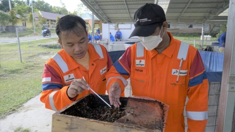 Kembangkan Program CSR yang Inovatif dan Berdampak, PT Pertamina Hulu Kalimantan Timur Terima Penghargaan dari Pemkab Penajam Paser Utara